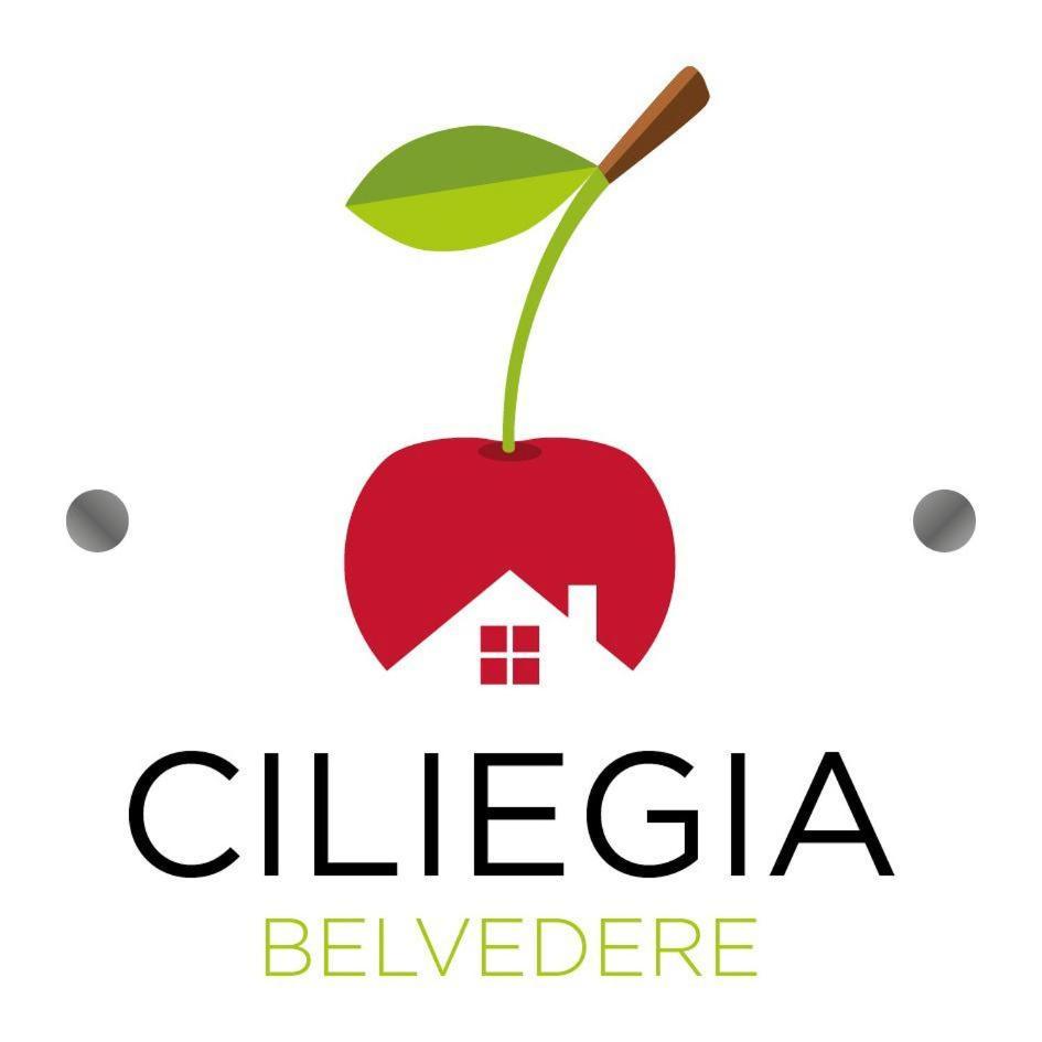 Ciliegia Di Lari - Attico Villa Eksteriør bilde